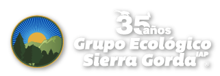 logo gesg 35 blanco-03